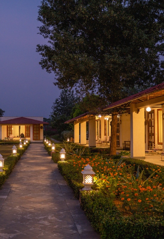 Sariska Safari Lodge beautiful evenings